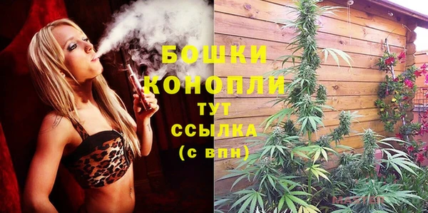 стафф Бронницы