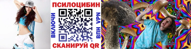 Галлюциногенные грибы Cubensis  купить наркотики сайты  Энем 